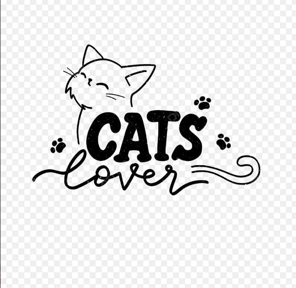はじめまして、ねこです🐈⸒⸒⸒⸒