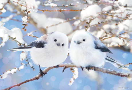 そら仙台人妻花こよみ