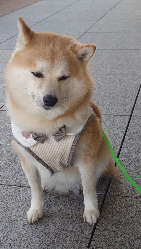 出勤しました～ ( * ・ω・) ノ/なお