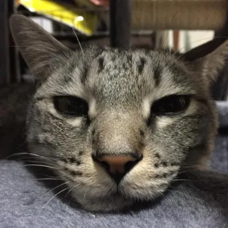 ひまり★愛嬌抜群フワフワボディ！のブログ 皆さん、大丈夫ですか？