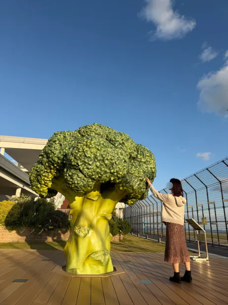 はつねMrs クリエーション