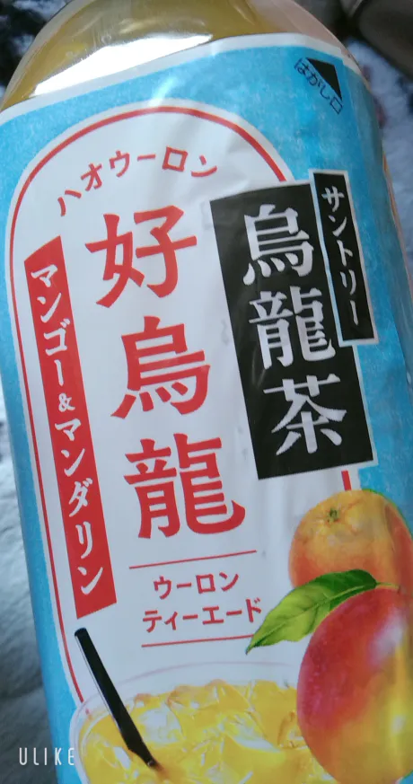 出勤🌙だよ