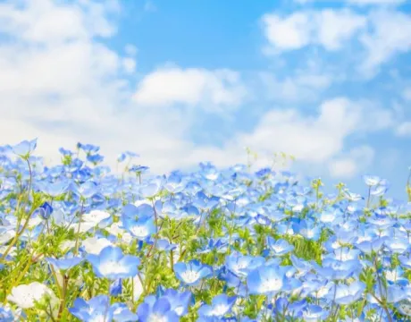 04/28 08:26ゆりか