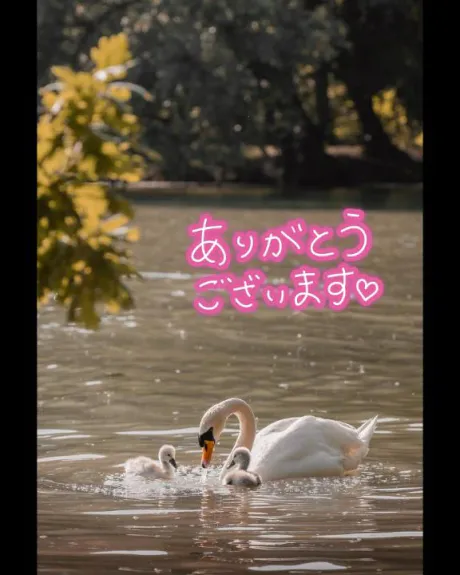 ことのブログ 昨日のお礼です