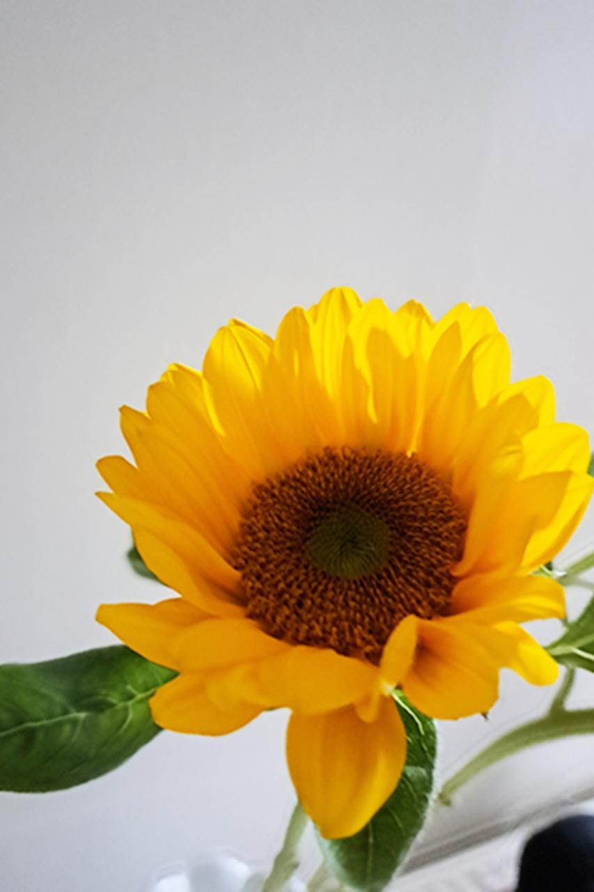 お疲れ様でした♡/あや