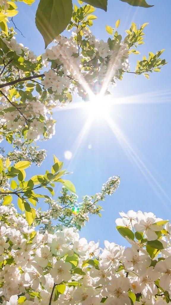 おはようございます☀️