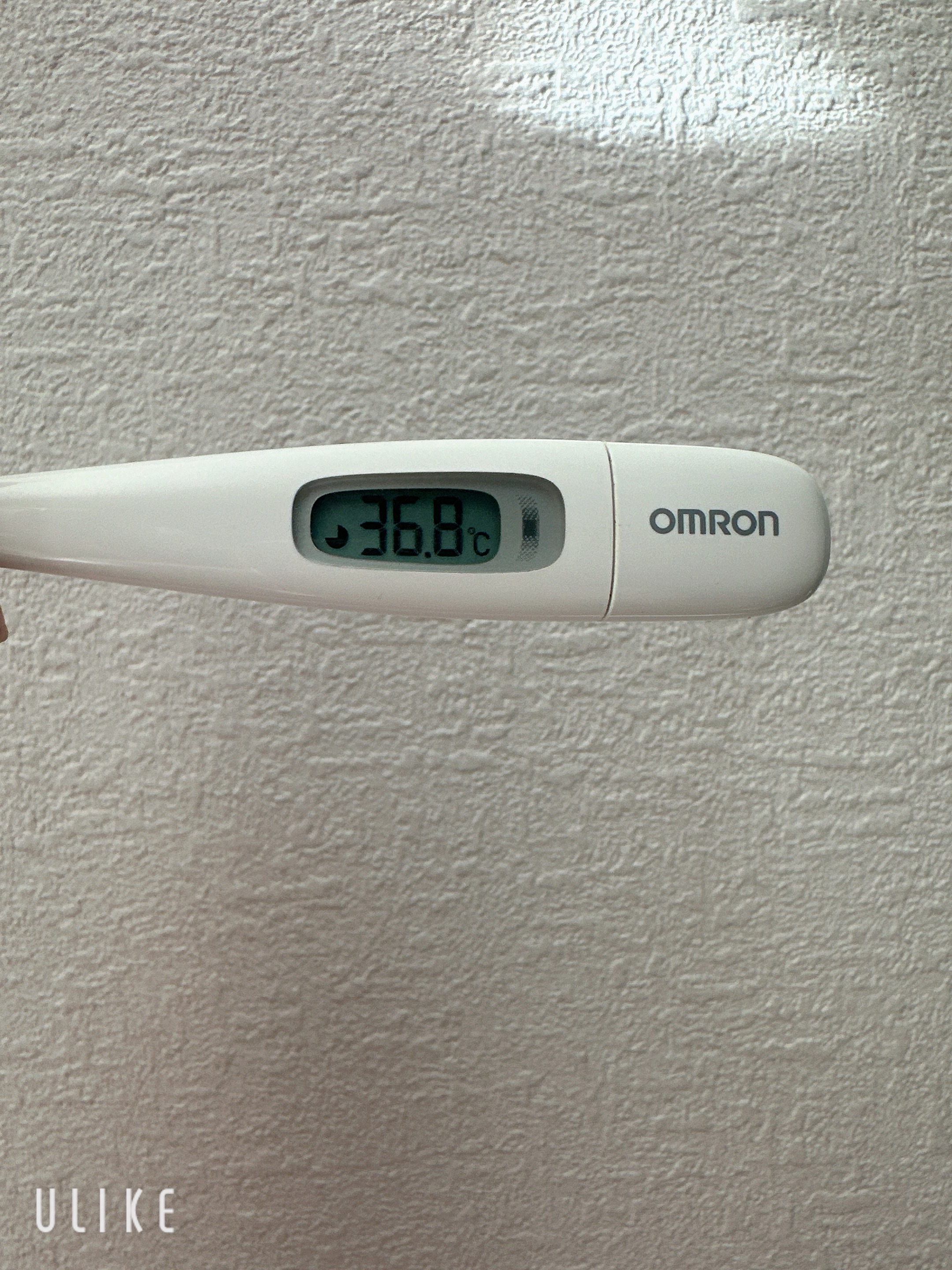 おはようございます💮ྀི