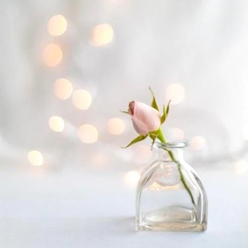 ご予約ありがとうございます🪽/新人・蘭々(らら)