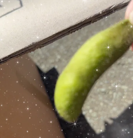 ももこです(^з^)本日出勤/ももこ