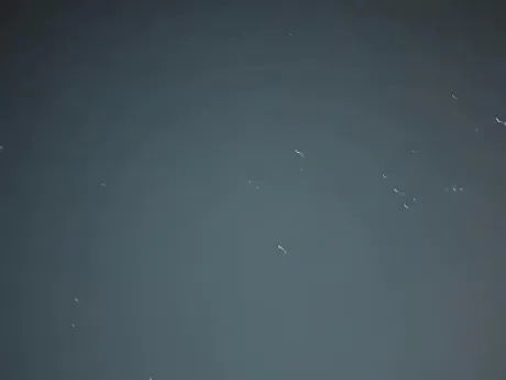 受付け終了/タエ