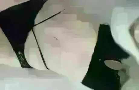 あと2枠‼️/れむ