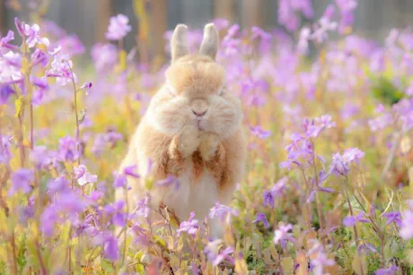 こんばんは/ゆりか