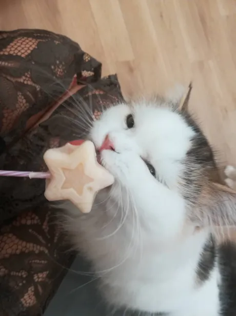 エースみやびMy Lover 八戸