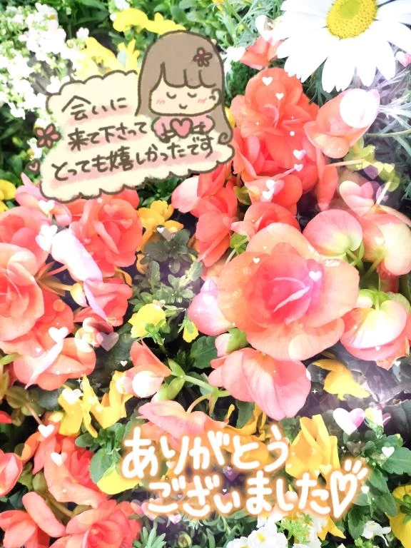 お礼となります