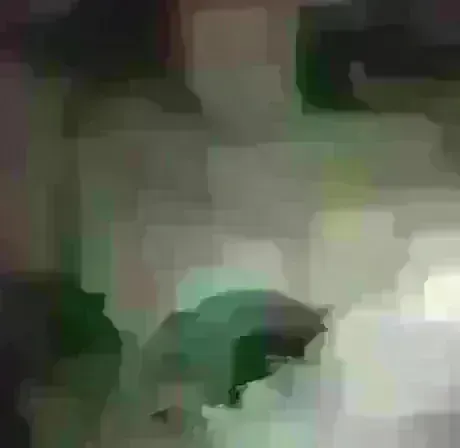 久しぶりだよ