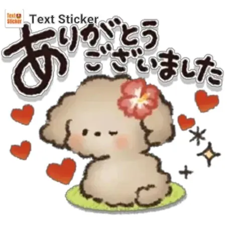 新人みさきマダム DOLCE