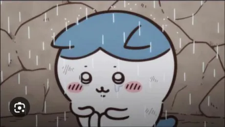 ( ˊ•̥  ̯ •̥`)/ななみ