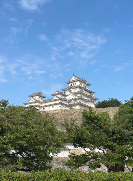 好きなこと。。。/ことみ