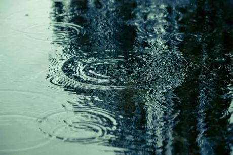 鈴夏(すずか)のブログ ポツリポツリ雨です