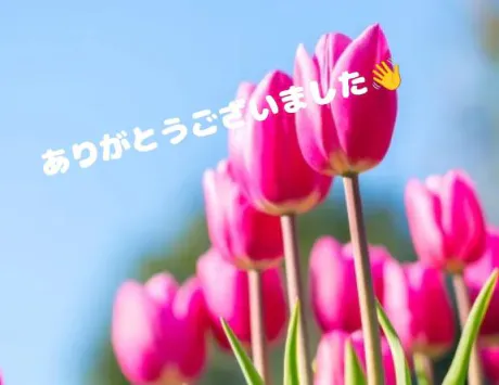 ゆりかのブログ ありがとうございました😊