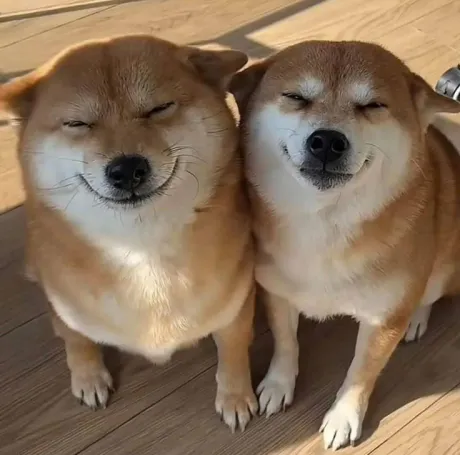 おはよう (*^^*)/なお