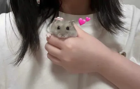 エムロイヤルクラブ