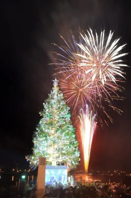 メリークリスマス🎄😘/かんな