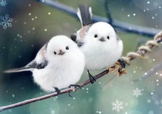 【人妻コース】ちさとMy Lover 八戸