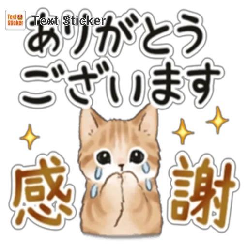 23日のお礼🌻