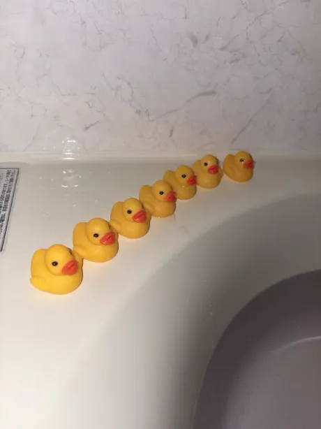 もに/体験　れな