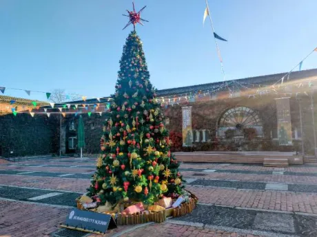 レイコのブログ 🌲🌲   メリークリスマス  🌲🌲🌲🌲🌲🌲