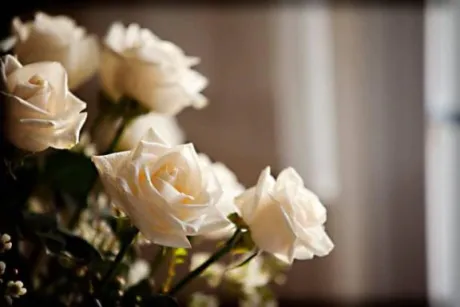 しほ愛 LAND-アイランド-