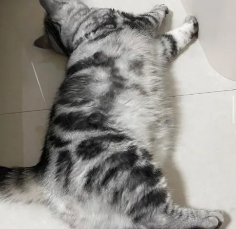 りぜDeliysCure仙台