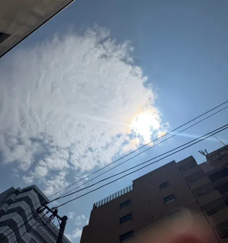 ももこです(^з^)本日出勤/ももこ