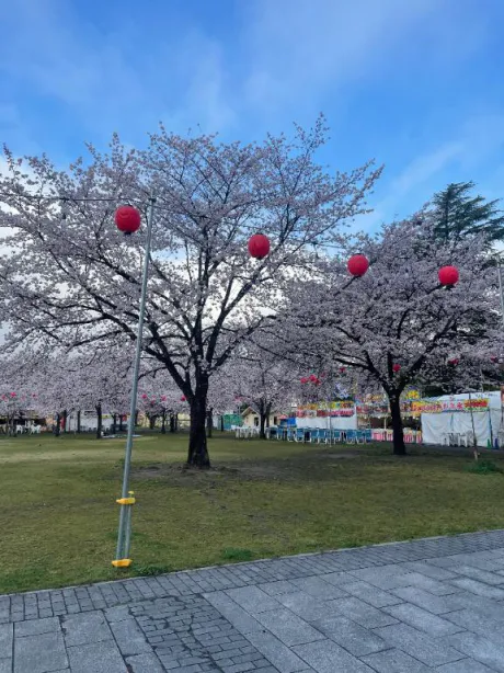 出勤🌸/せいら