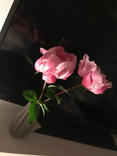 すず【ディプロマS保持者】ごほうびSPA福岡店