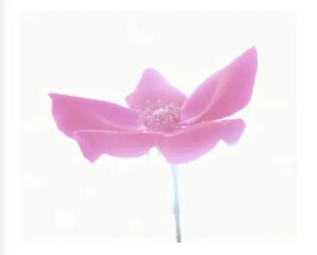 祝日/【人妻コース】ちさと