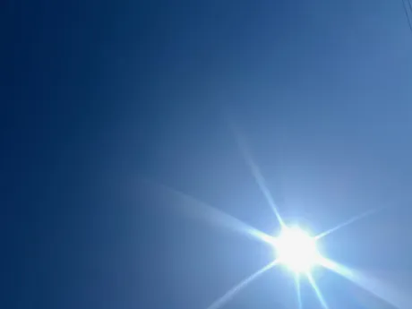 ももこです(^з^)本日出勤日/ももこ