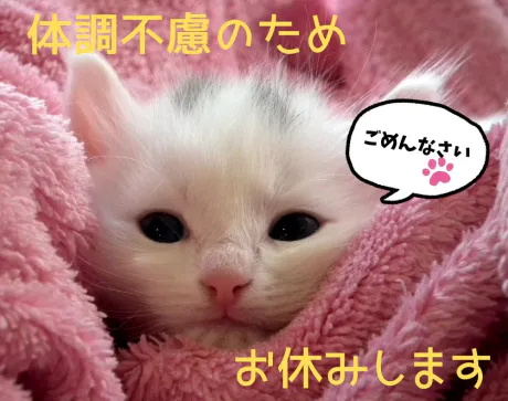 しょうこMrs クリエーション