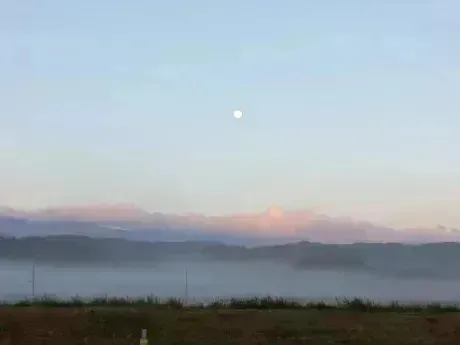 ひつじ奥様メモリアル