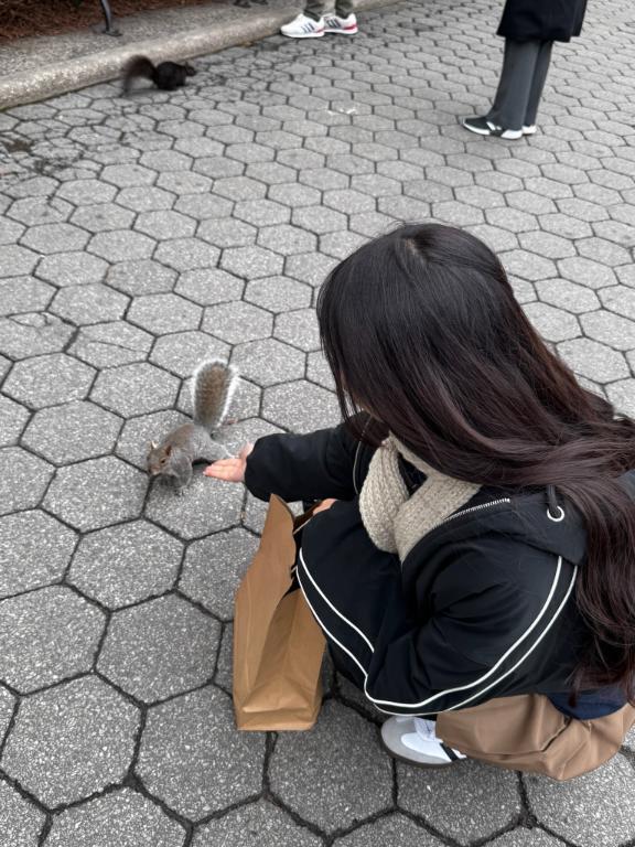 いつかの夢