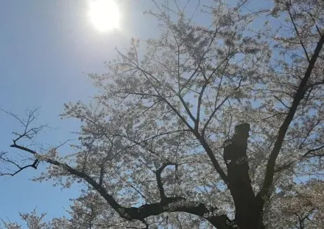 ゆこおばさんの店　仙台FC