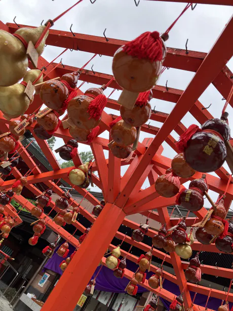 あたらしい1年/なお[弘前]