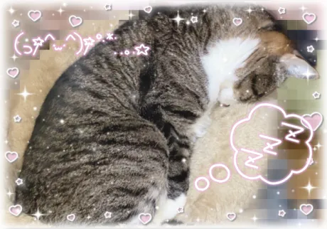 のの【青】のブログ 今年もありがとうございました🧸☃️