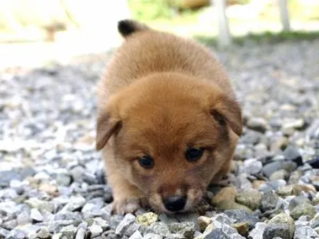 いつもありがとう ( * ・ω・) ノ/なお