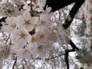 ゆきなAF可のブログ (^^)