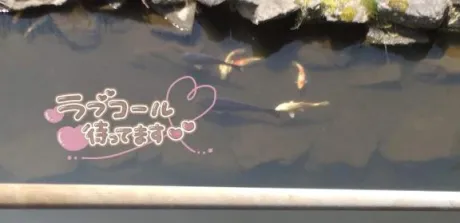 おはよう/後藤(ごとう)