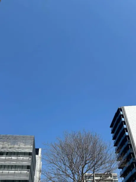 カンナ人妻生レンタルーNTRー