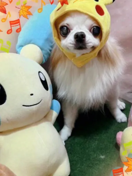のぞみ★アナル調教師のブログ ご報告