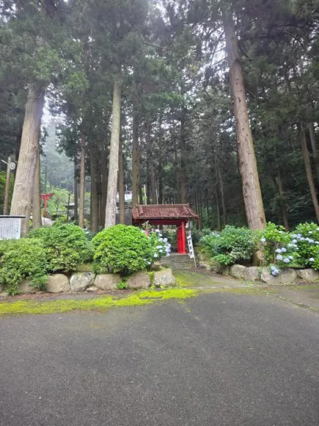 ルイ奥様生レンタル-古川店-